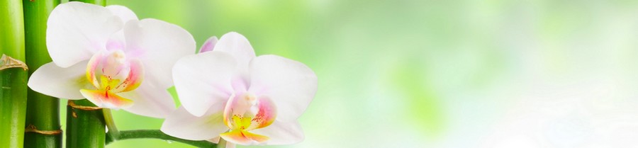 louisvillelaserandspa louisvillelaserandspa